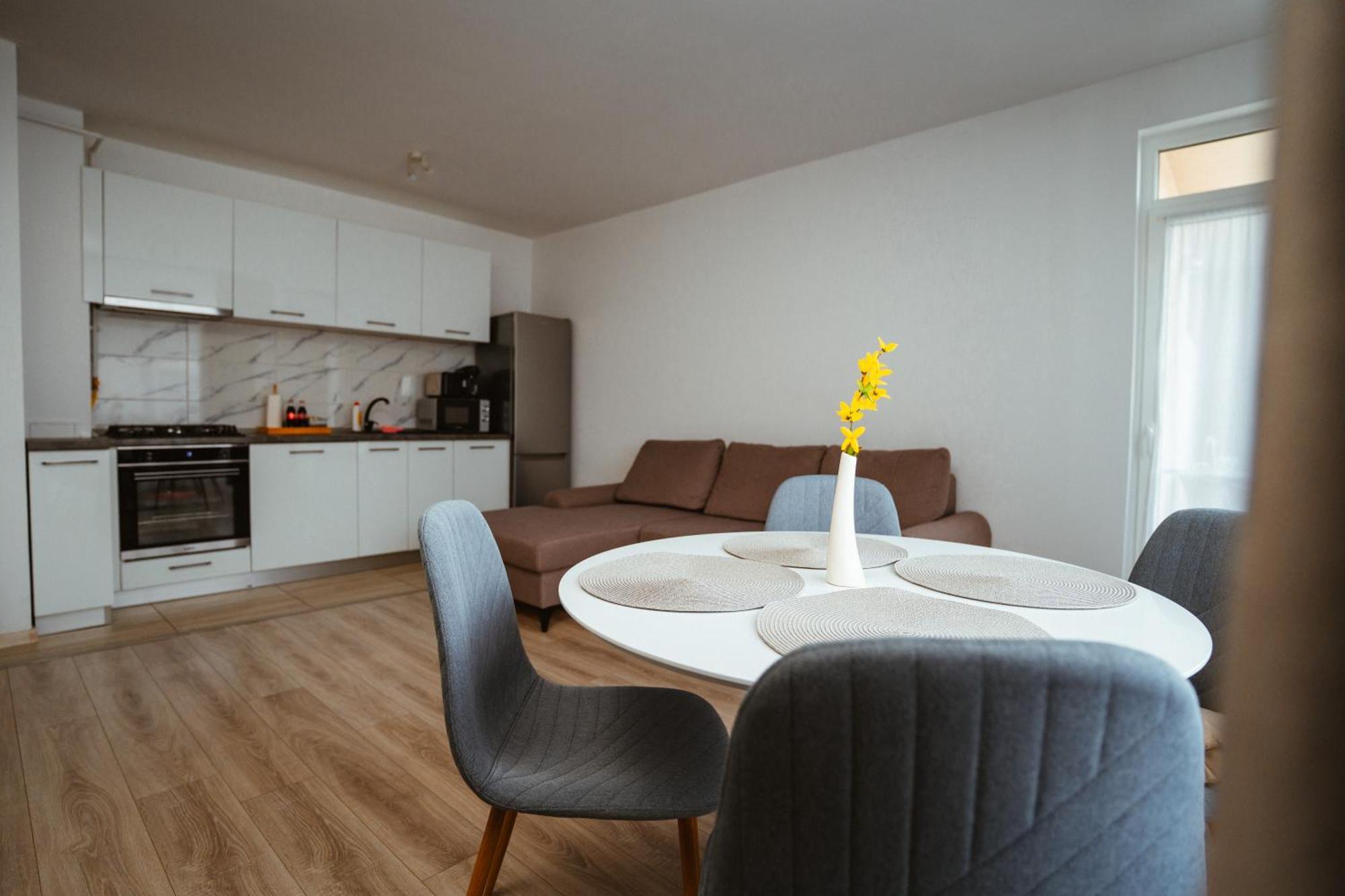 Maria'S Premium Suite Baia Mare Zewnętrze zdjęcie