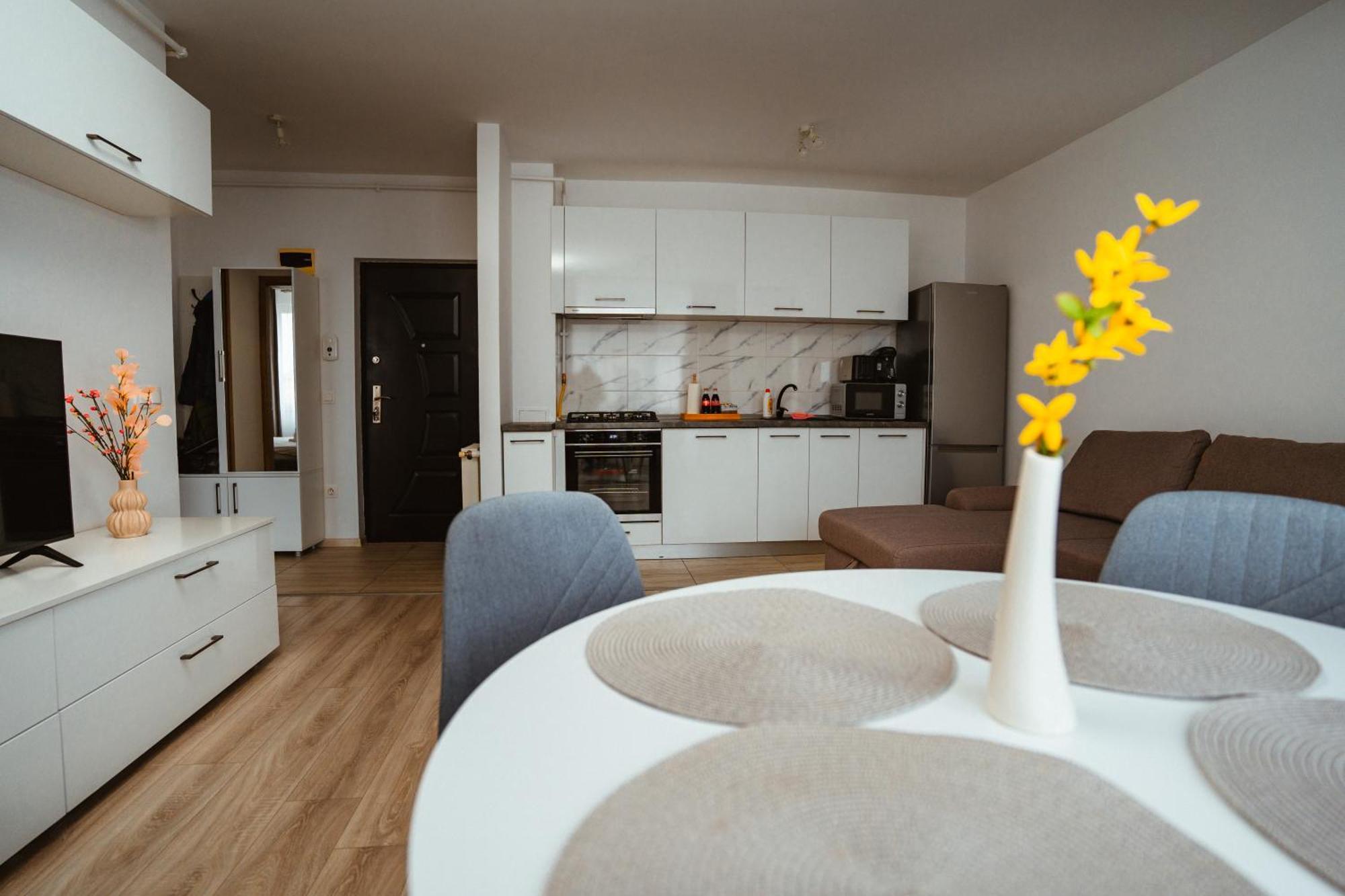 Maria'S Premium Suite Baia Mare Zewnętrze zdjęcie